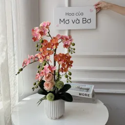 Chậu Hoa Tiểu Hồ Điệp Dáng Cao - Hoa Của Mơ Và Bơ