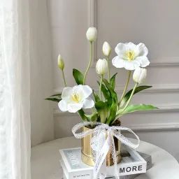 Chậu Hoa Tulip - Hoa Của Mơ Và Bơ