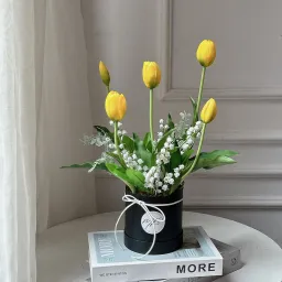 Chậu Hoa Tulip - Hoa Của Mơ Và Bơ