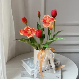 Chậu Hoa Tulip - Hoa Của Mơ Và Bơ