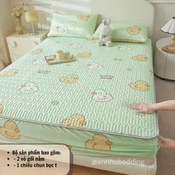 Chiếu Điều Hoà Bo Chun Bọc Đệm Cao Su Non Cao Cấp An Như Bedding - Nhiều Mẫu, Nhiều Size