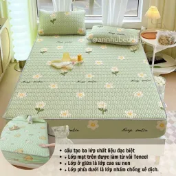 Chiếu Điều Hoà Bo Chun Bọc Đệm Cao Su Non Cao Cấp An Như Bedding - Nhiều Mẫu, Nhiều Size