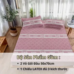 Chiếu Điều Hoà Coco Cao Su Non Cao Cấp 3 Món Siêu Mát An Như Bedding - Nhiều Màu, Nhiều Size