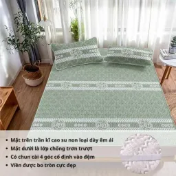 Chiếu Điều Hoà Coco Cao Su Non Cao Cấp 3 Món Siêu Mát An Như Bedding - Nhiều Màu, Nhiều Size