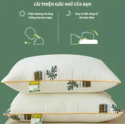 Combo 2 Ruột Gối Nằm Thảo Dược Thơm 48*74cm An Như Bedding