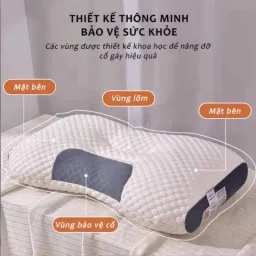 Gối Công Thái Học Kích Thước 48*74cm An Như Bedding