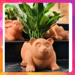 Chậu Cây Gốm Đất Nung (Terracotta) Hình GẤU D27xC15cm