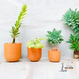 COMBO 10 Chậu Gốm Đất Nung Kiểu TRỨNG DA RẮN Size 8cm