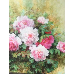 Hoa Mẫu Đơn 50x50 cm, tranh in vải Canvas chất lượng cao, đầy đủ khung và phụ kiện treo tranh