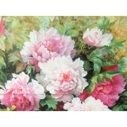 Hoa Mẫu Đơn 50x50 cm, tranh in vải Canvas chất lượng cao, đầy đủ khung và phụ kiện treo tranh