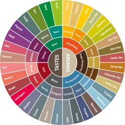 Tranh Coffee Taster’s Flavor Wheel, kích thước 60x60cm, đủ khung và đinh treo