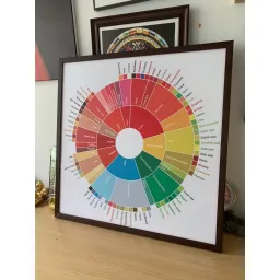 Tranh Coffee Taster’s Flavor Wheel, kích thước 60x60cm, đủ khung và đinh treo