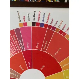 Tranh Coffee Taster’s Flavor Wheel, kích thước 60x60cm, đủ khung và đinh treo