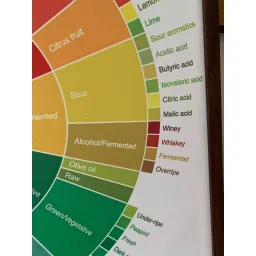 Tranh Coffee Taster’s Flavor Wheel, kích thước 60x60cm, đủ khung và đinh treo