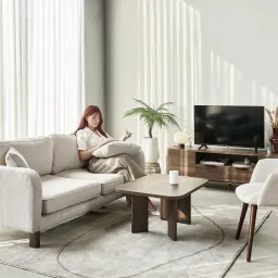 Ghế Sofa Moho Dalumd 301 (Màu Nâu 180)