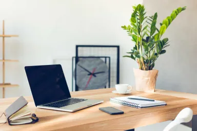 Top 30+ loại cây để bàn làm việc được ưa chuộng nhất hiện nay