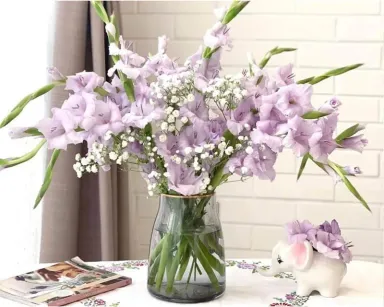 Hoa lay ơn: Đặc điểm, ý nghĩa và 2 cách cắm hoa đẹp, đơn giản, tươi lâu