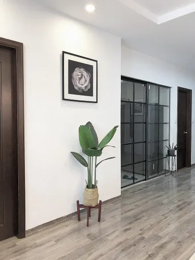 Phòng khách Lối vào Hành lang - Một căn nhà phong cách nhẹ nhàng, tràn ngập ánh sáng