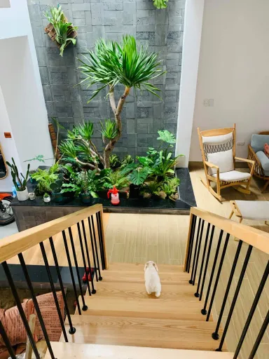 Lối vào Cầu thang - Nhà thoáng đãng, tươi mát nhờ trang trí nội thất với gỗ và cây xanh