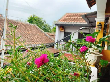 Lô gia - Nhà phố cổ Hội An kiến trúc cổ điển nổi bật với trần lát gỗ
