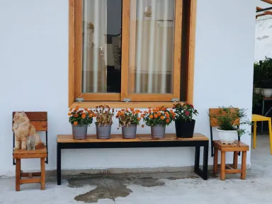 Sân vườn - Cải tạo tầng tum thành studio thơ mộng như phim Sân vườn - Cải tạo tầng tum thành studio thơ mộng như phim