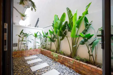 Sân vườn - Homestay vợ chồng mình làm khi “bỏ thủ đô về biển”