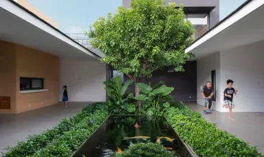  Lối vào, Sân vườn - Ý tưởng làm vườn xanh giữa nhà kết nối con người và thiên nhiên 