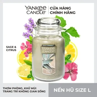 Nến Hũ Mùi Sage & Citrus Size L