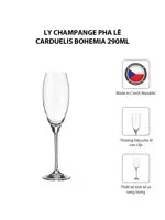 Bộ 6 Ly Champagne Pha Lê Carduelis Bohemia 290ml