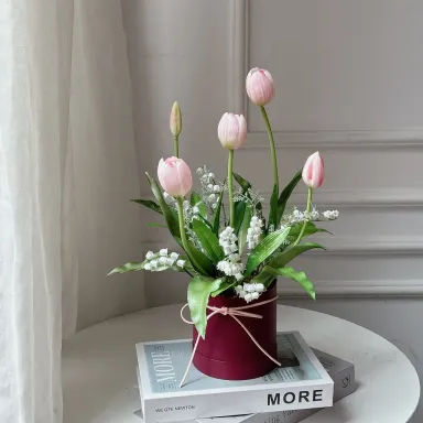 Chậu Hoa Tulip - Hoa Của Mơ Và Bơ