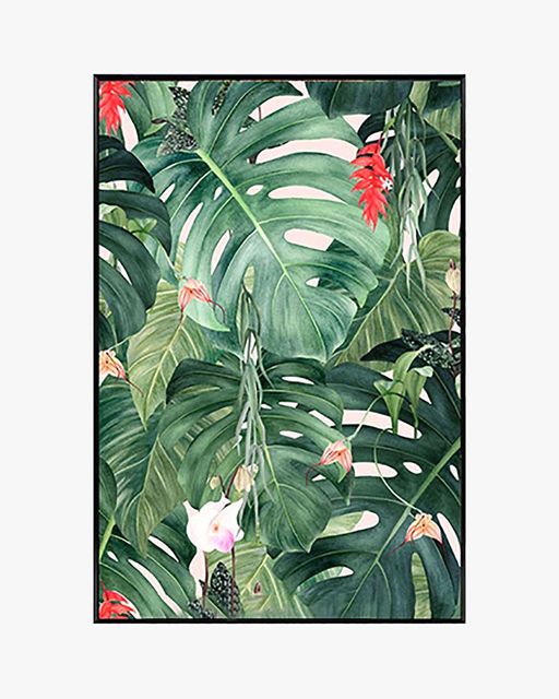 Tranh Canvas Tropical 15