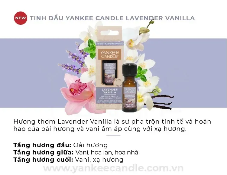 Tinh Dầu Mùi Lavender Vanilla 15ml