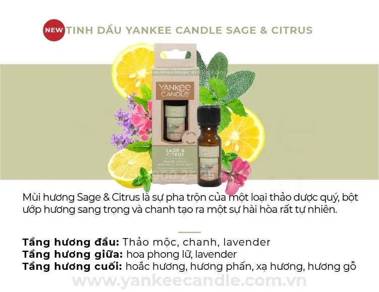 Tinh Dầu Mùi Sage & Citrus 15ml
