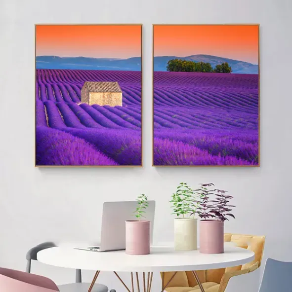 Tranh Canvas: Cánh Đồng Lavender