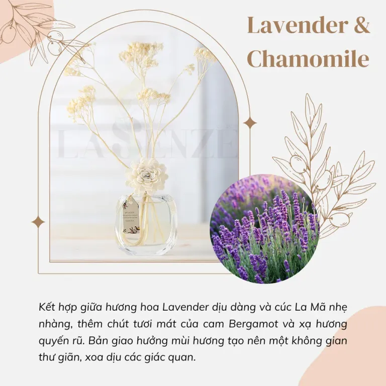 Tinh Dầu Khuếch Tán LUXURY AROMA HOME DECOR