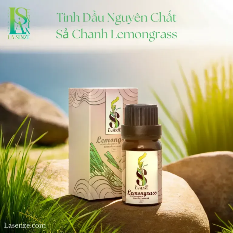 Tinh Dầu Nguyên Chất LA SENZE 10ML