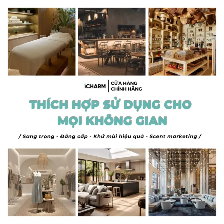 Máy Xông Tinh Dầu Ô Tô iCHARM i116