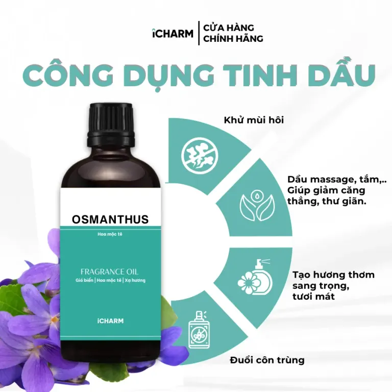 Tinh Dầu Nước Hoa Osmanthus (Hoa Mộc Tê) - iCHARM