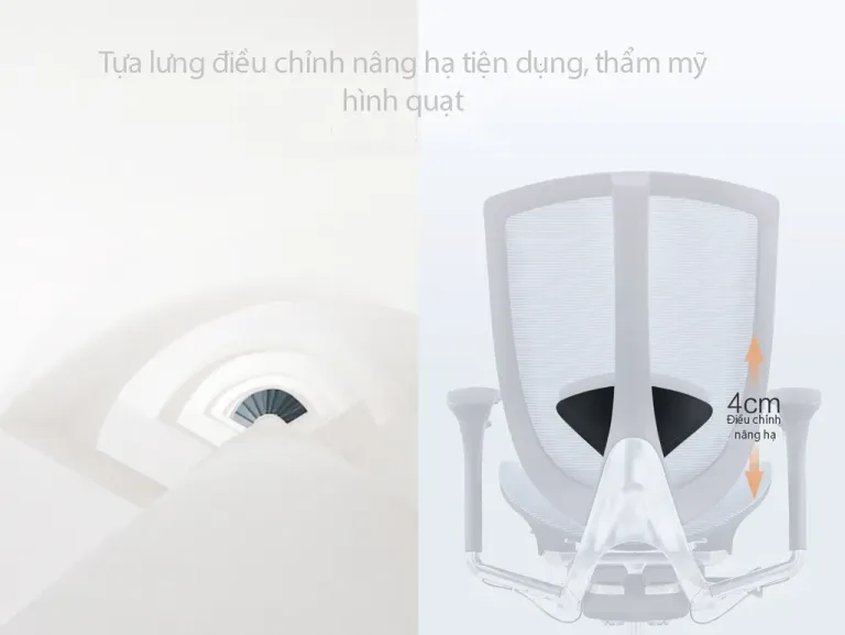 Ghế Công Thái Học Spider 12-HR