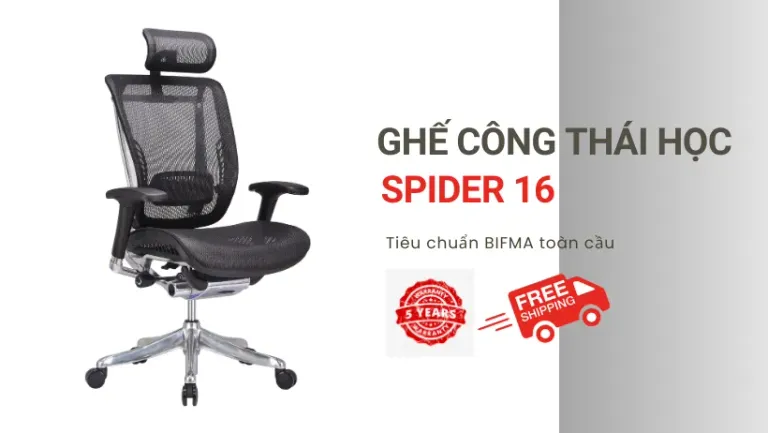 Ghế Công Thái Học Spider 16-HR