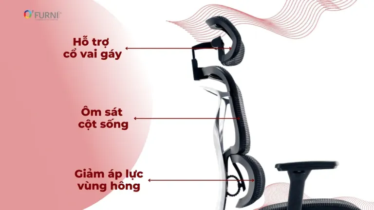 Ghế Công Thái Học Spider 4-HR