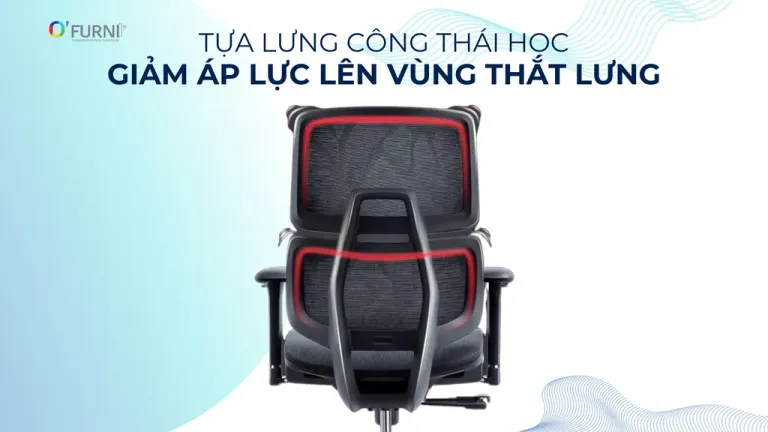 Ghế Công Thái Học Spider 7-HR