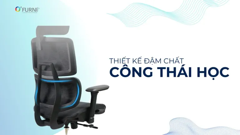 Ghế Công Thái Học Spider 7-HR