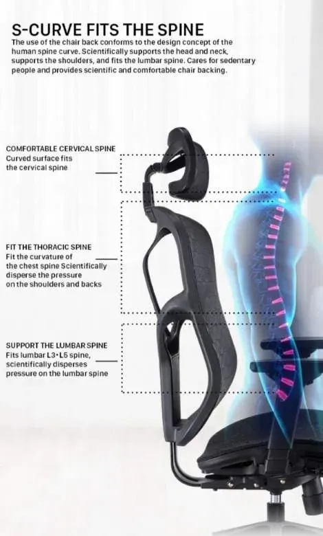 Ghế Công Thái Học Spider 8-HR