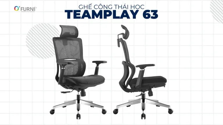 Ghế Công Thái Học Teamplay 63-HR