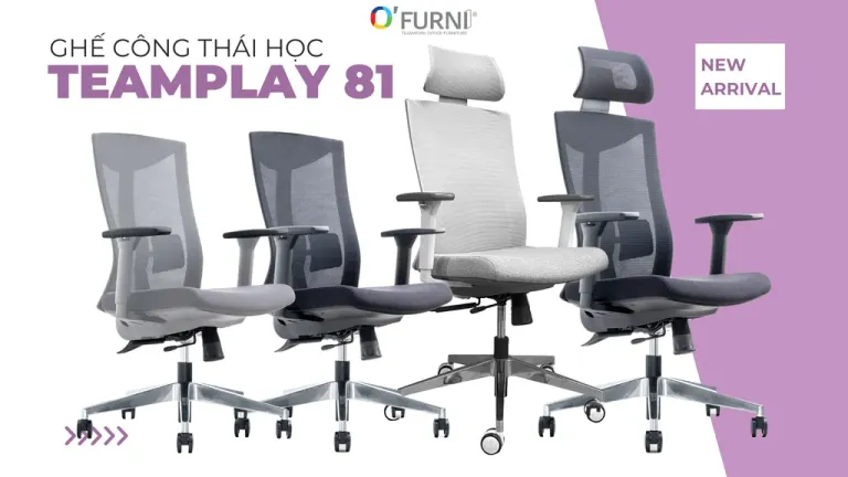 Ghế Công Thái Học Teamplay 81W-HR