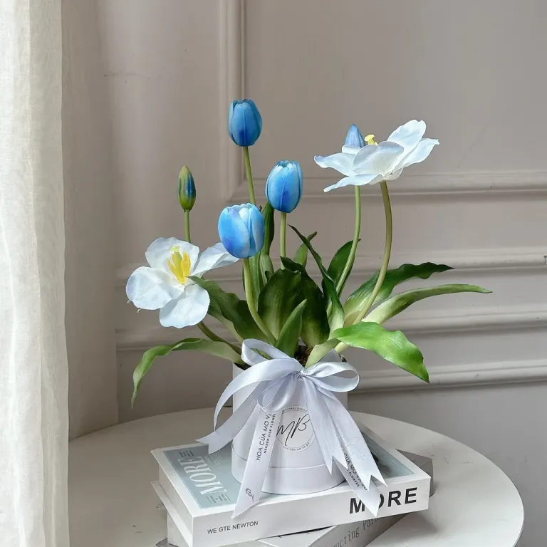 Chậu Hoa Tulip - Hoa Của Mơ Và Bơ