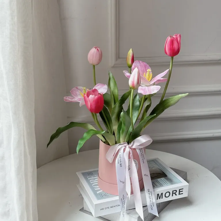 Chậu Hoa Tulip - Hoa Của Mơ Và Bơ