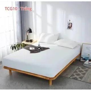 Bộ Ga Gối Cotton Tici 3 Món, 1 Ga Trải Giường + 2 Vỏ Gối An Như Bedding