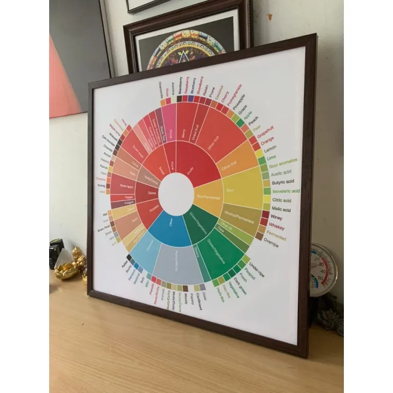 Tranh Coffee Taster’s Flavor Wheel, kích thước 60x60cm, đủ khung và đinh treo